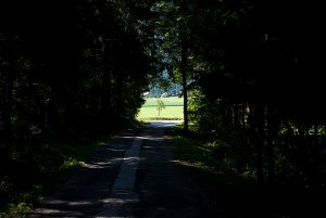 Prežihovina